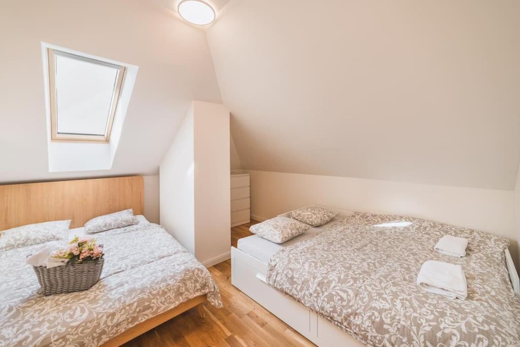 Grand Loft 110m2 Appartamento